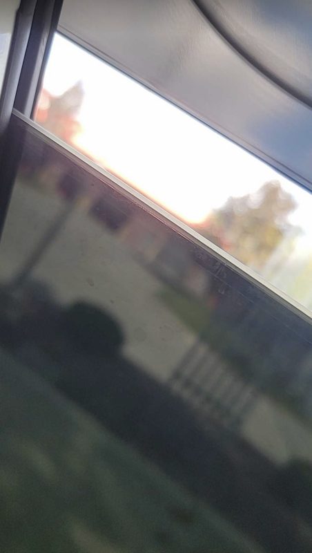 Image #4 from Reggie