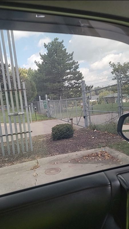 Image #3 from Reggie