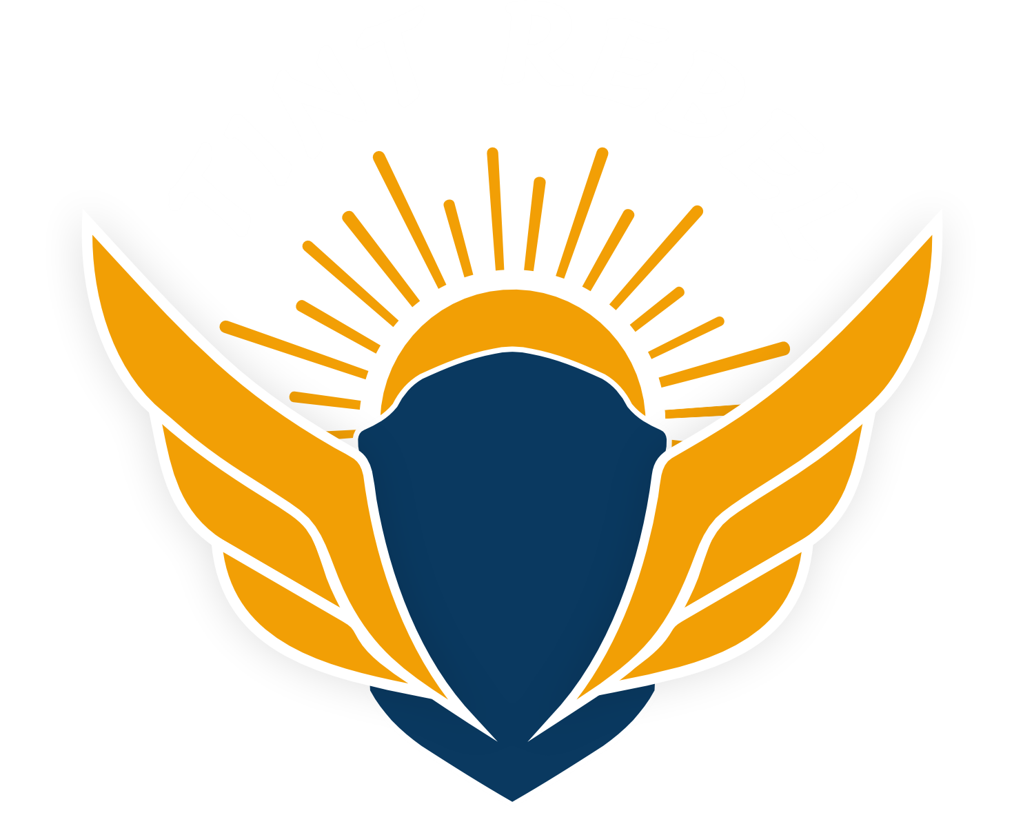TintRebel.com